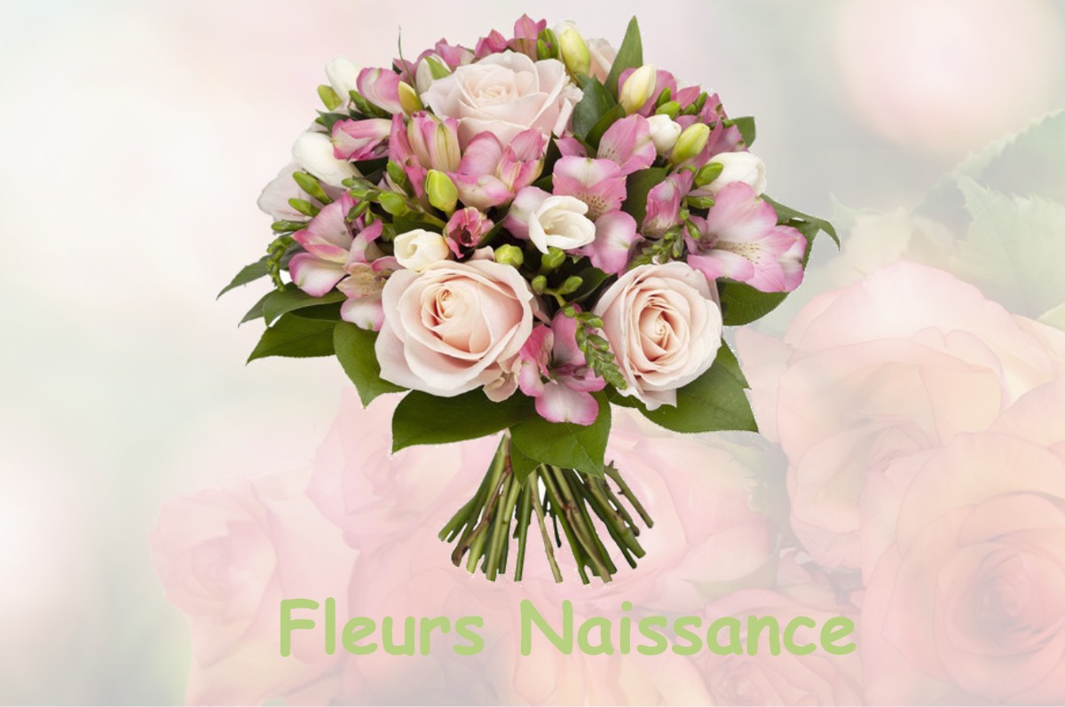 fleurs naissance POISAT