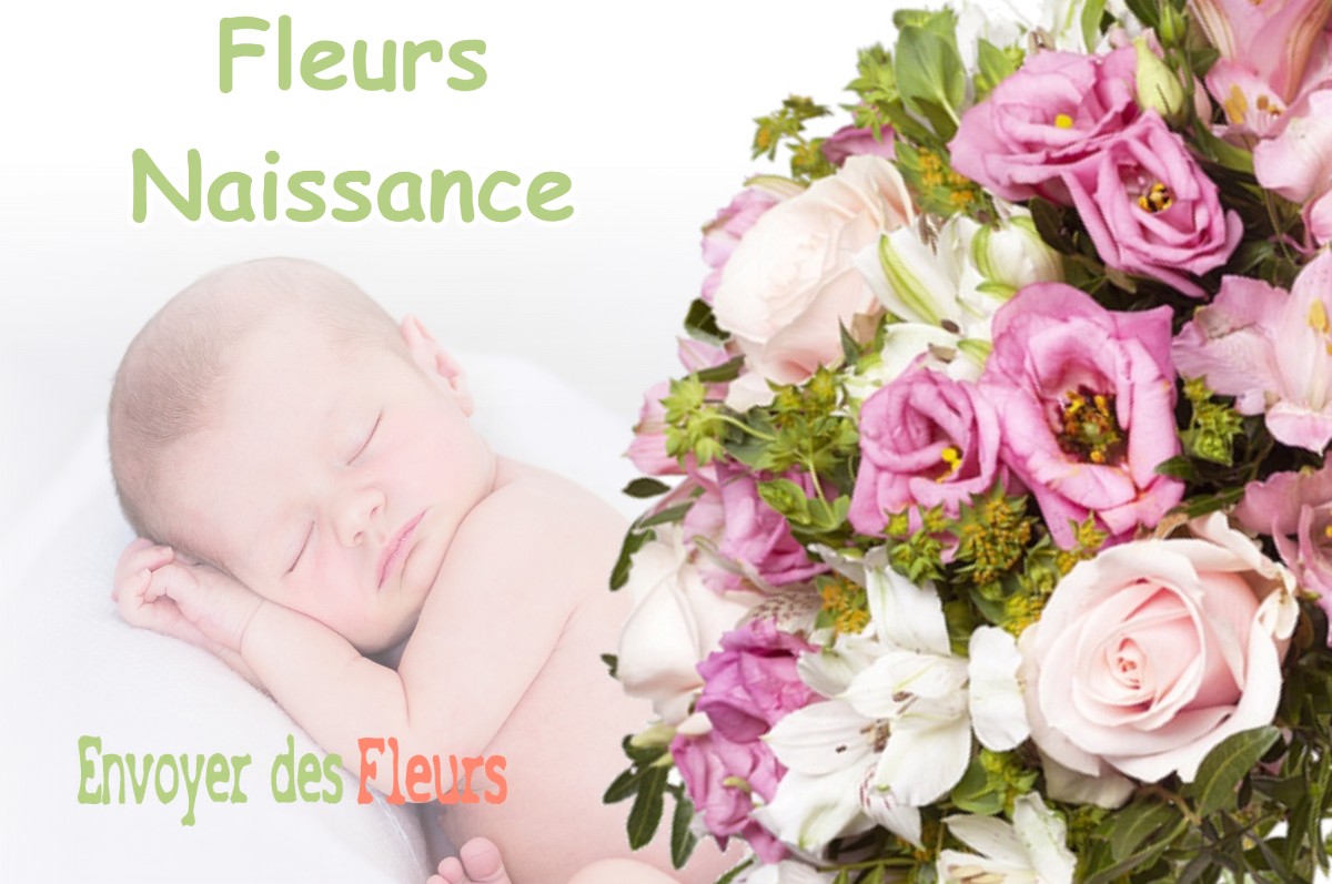 lIVRAISON FLEURS NAISSANCE à POISAT